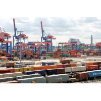 13303_7502 Auf Güterzüge geladene Container - Containerkräne Terminal Altenwerder. | HHLA Container Terminal Hamburg Altenwerder ( CTA )